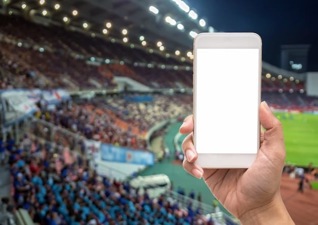 The Evolution of the Fan Experience: Technology and Soccer Support