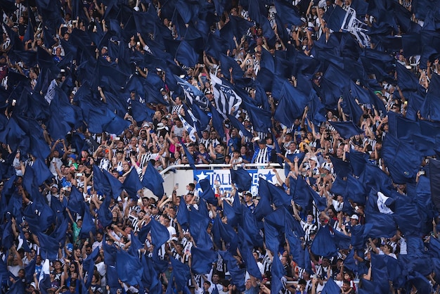The Ultimate Soccer Road Trip: See the Best US Stadiums