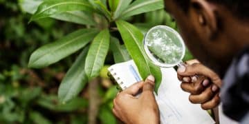 Sustainability Verification Testing